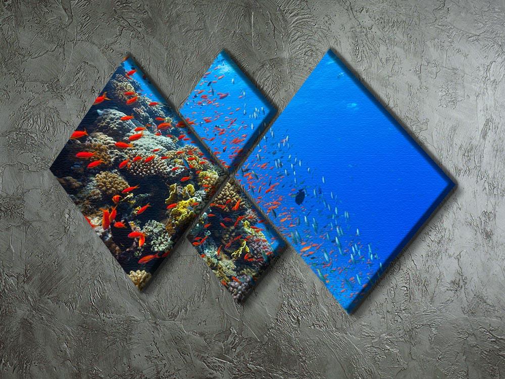Beautiful coral reef with fish in Red sea 4 Square Multi Panel Canvas - Canvas Art Rocks - 2