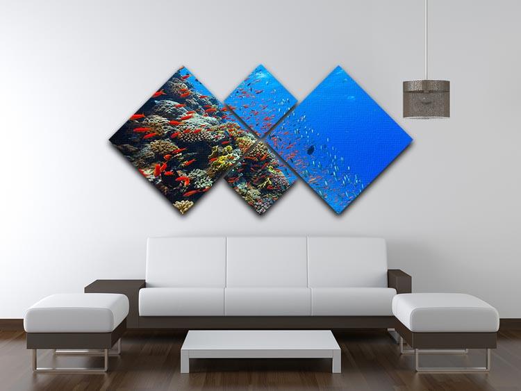Beautiful coral reef with fish in Red sea 4 Square Multi Panel Canvas - Canvas Art Rocks - 3