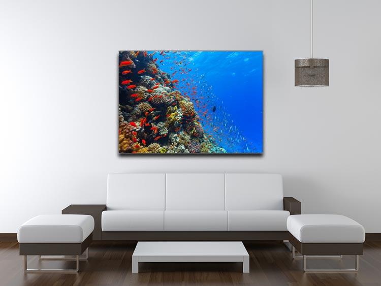 Beautiful coral reef with fish in Red sea Canvas Print or Poster - Canvas Art Rocks - 4