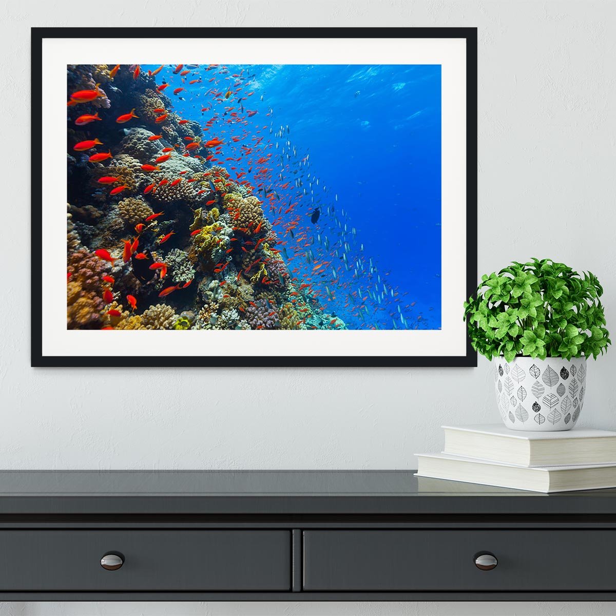 Beautiful coral reef with fish in Red sea Framed Print - Canvas Art Rocks - 1