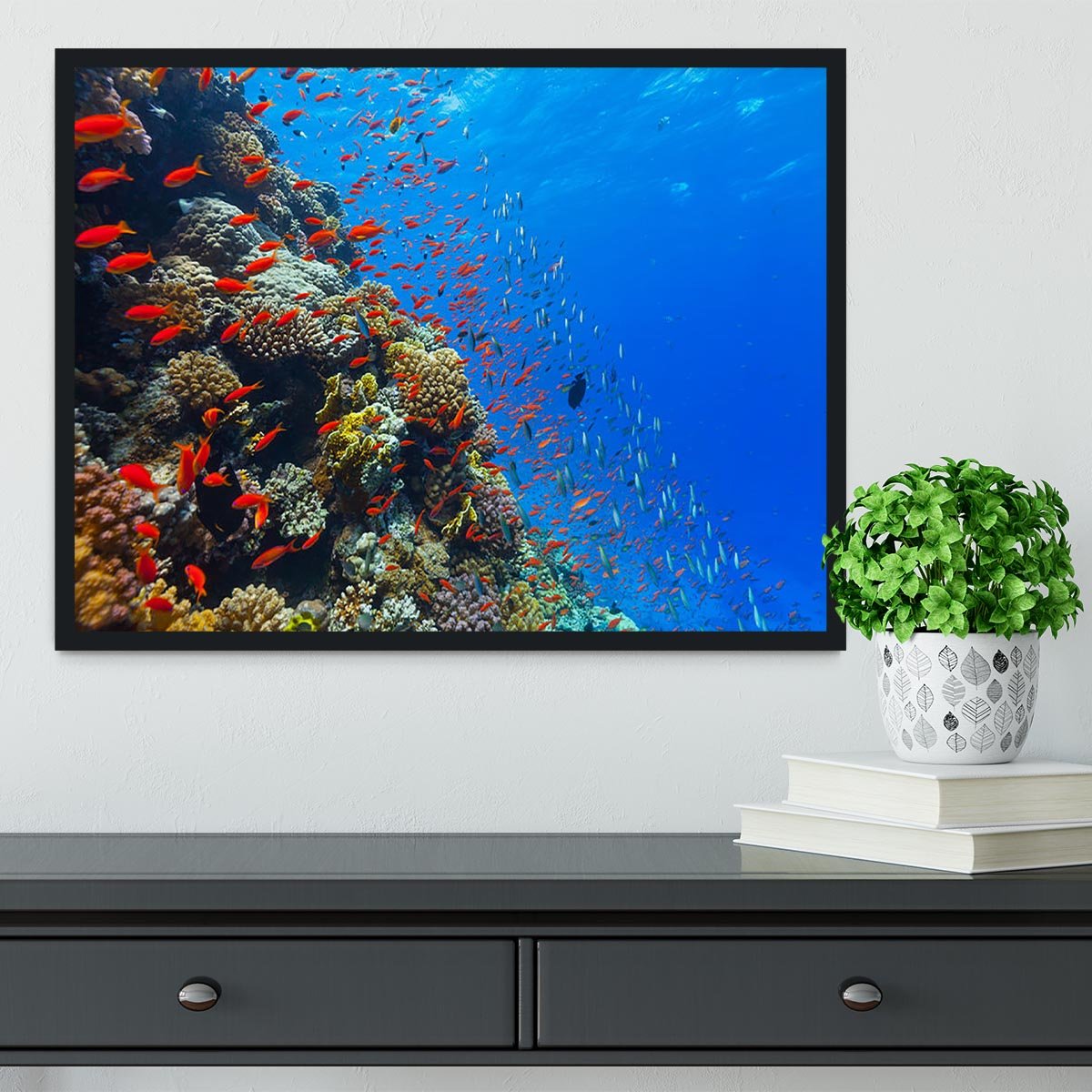 Beautiful coral reef with fish in Red sea Framed Print - Canvas Art Rocks - 2