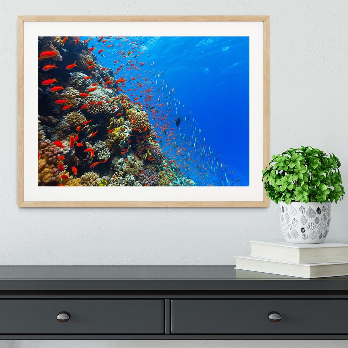 Beautiful coral reef with fish in Red sea Framed Print - Canvas Art Rocks - 3