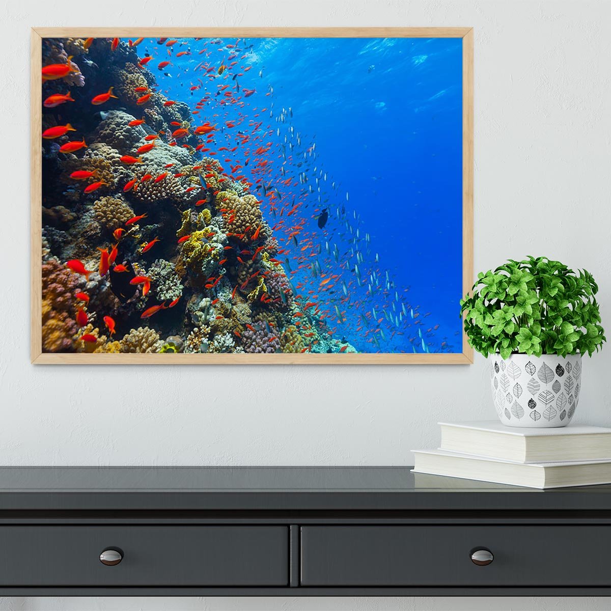 Beautiful coral reef with fish in Red sea Framed Print - Canvas Art Rocks - 4