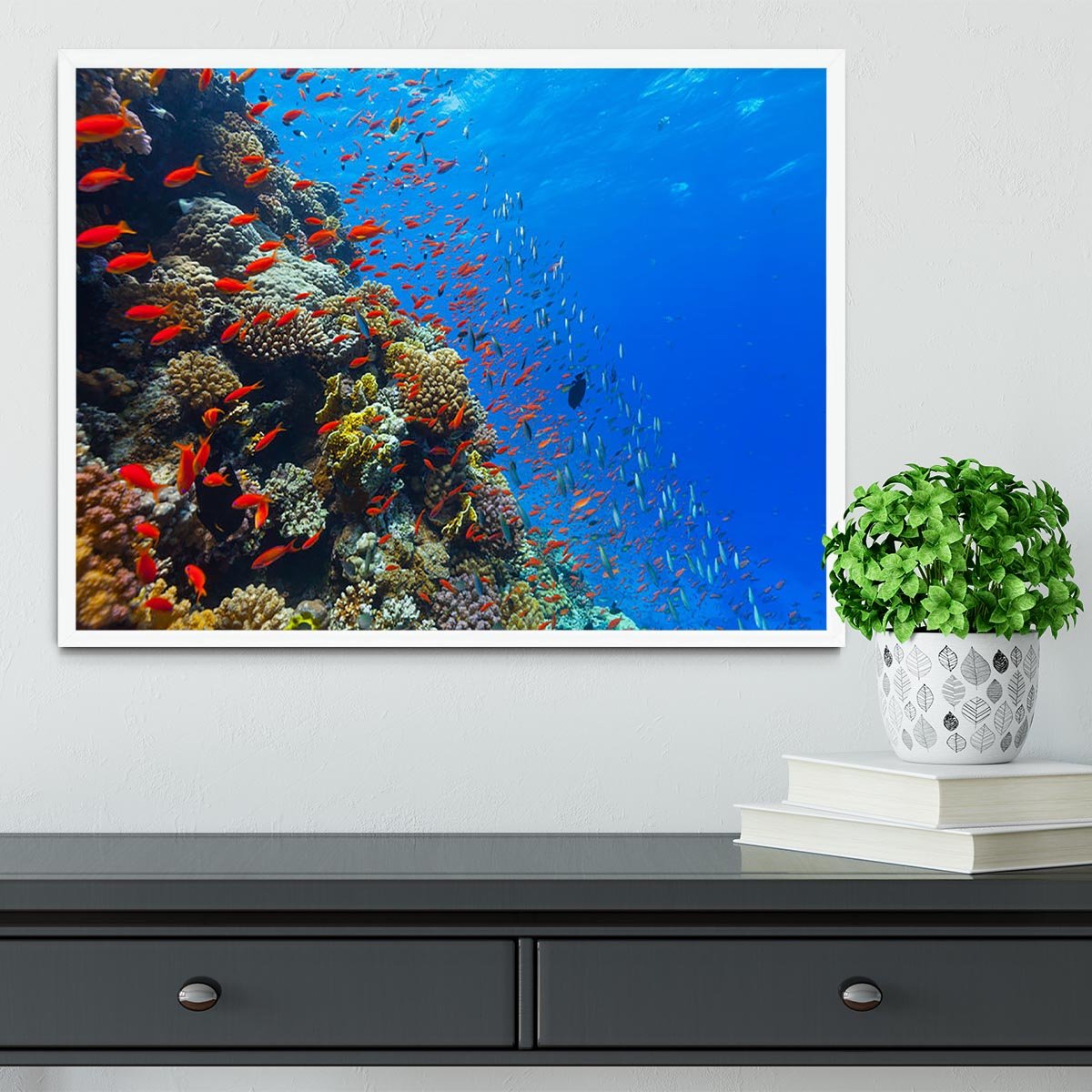 Beautiful coral reef with fish in Red sea Framed Print - Canvas Art Rocks -6