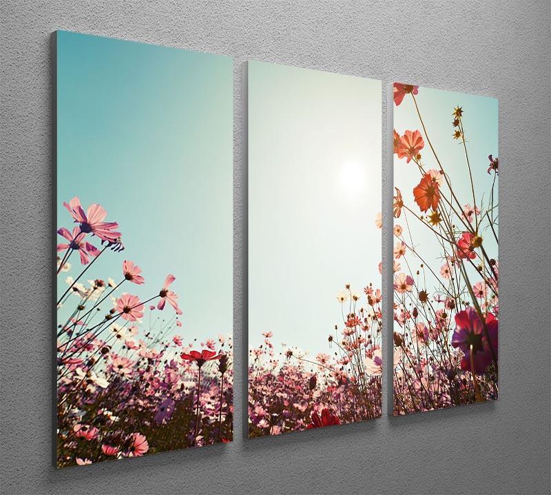 Beautiful cosmos flower field 3 Split Panel Canvas Print - Canvas Art Rocks - 2