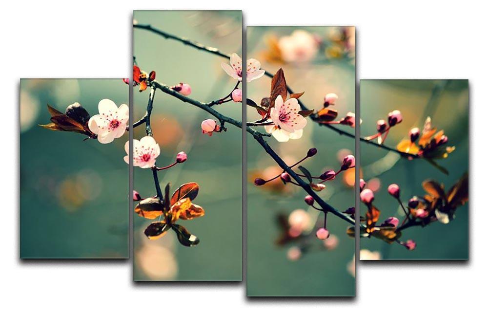 Beautiful flowering Japanese cherry 4 Split Panel Canvas  - Canvas Art Rocks - 1
