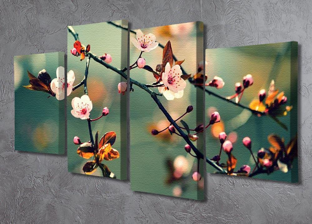 Beautiful flowering Japanese cherry 4 Split Panel Canvas  - Canvas Art Rocks - 2