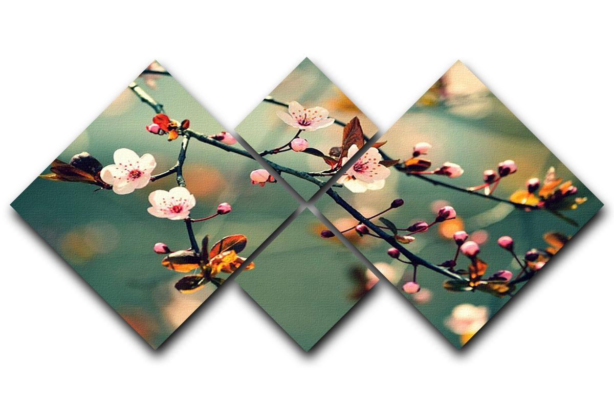 Beautiful flowering Japanese cherry 4 Square Multi Panel Canvas  - Canvas Art Rocks - 1