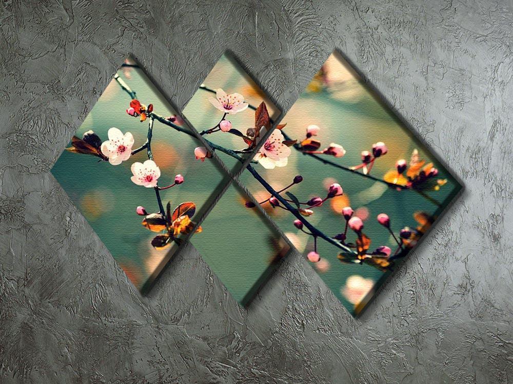 Beautiful flowering Japanese cherry 4 Square Multi Panel Canvas  - Canvas Art Rocks - 2