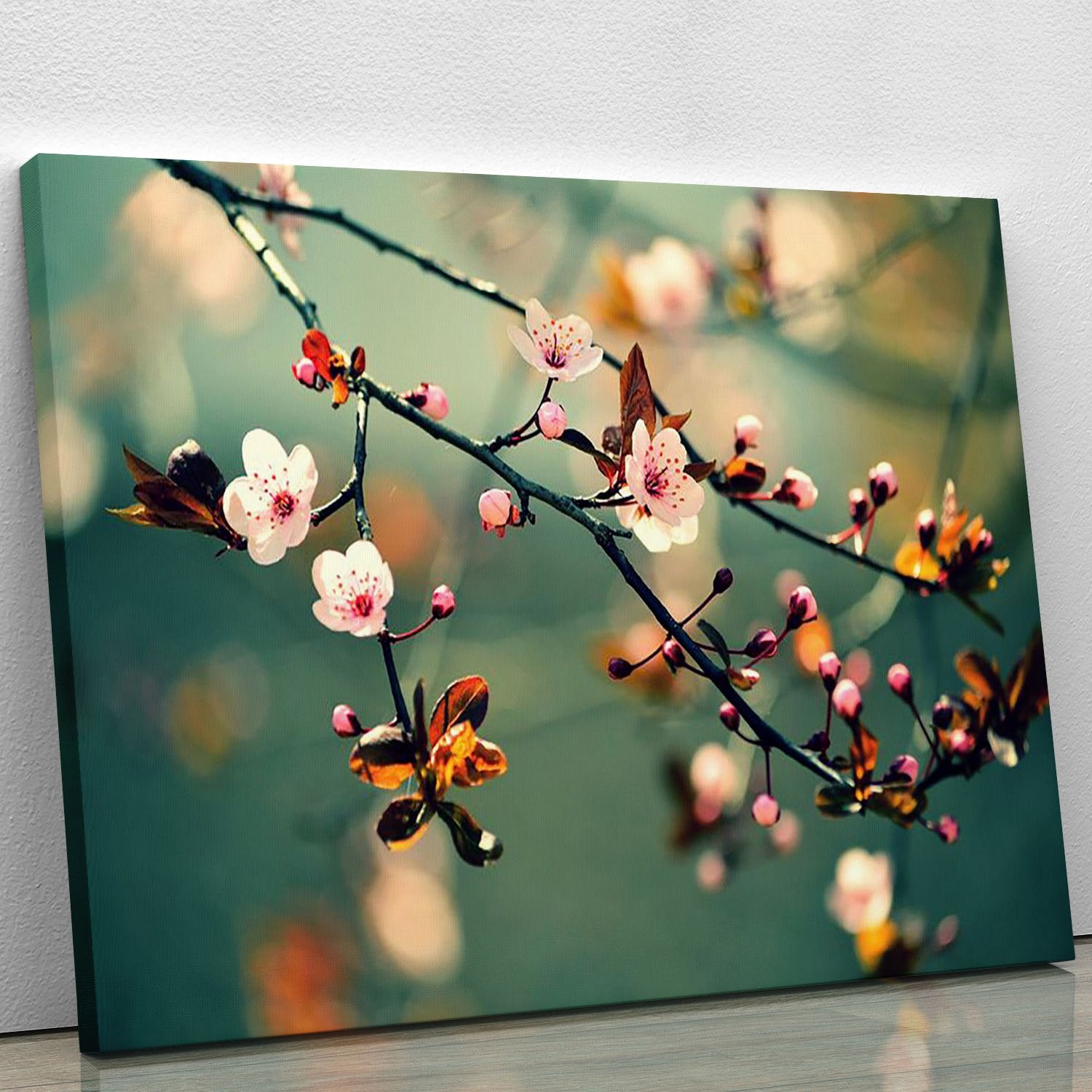 Beautiful flowering Japanese cherry Canvas Print or Poster