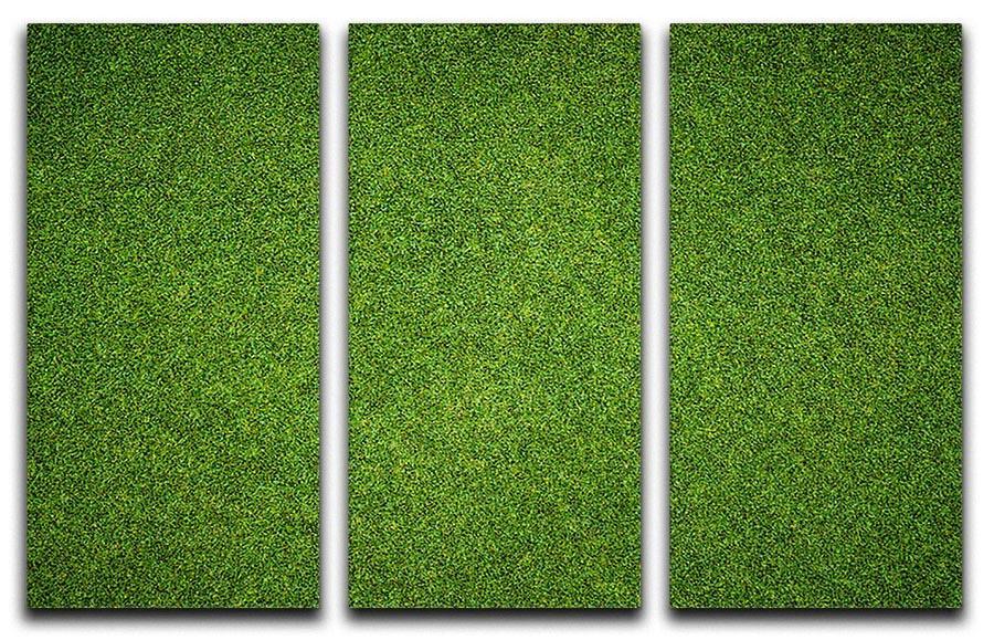 Beautiful green grass 3 Split Panel Canvas Print - Canvas Art Rocks - 1