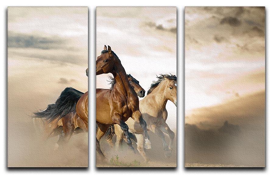 Beautiful horses of different breeds 3 Split Panel Canvas Print - Canvas Art Rocks - 1