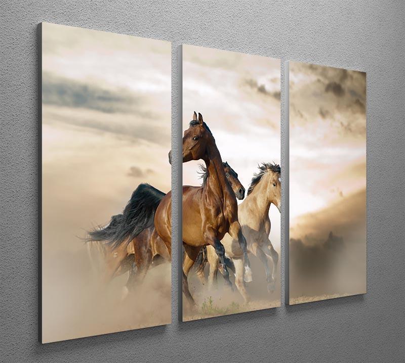 Beautiful horses of different breeds 3 Split Panel Canvas Print - Canvas Art Rocks - 2