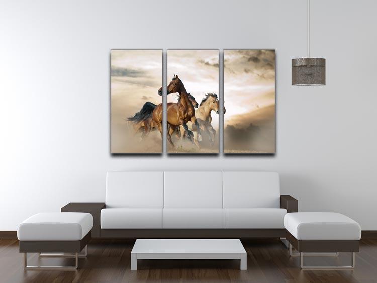 Beautiful horses of different breeds 3 Split Panel Canvas Print - Canvas Art Rocks - 3
