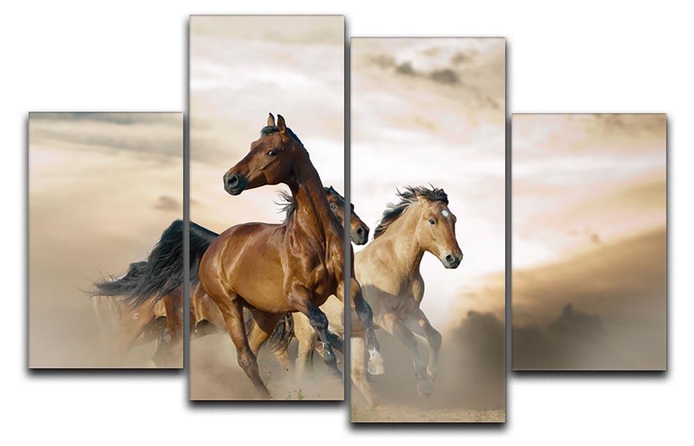 Beautiful horses of different breeds 4 Split Panel Canvas - Canvas Art Rocks - 1
