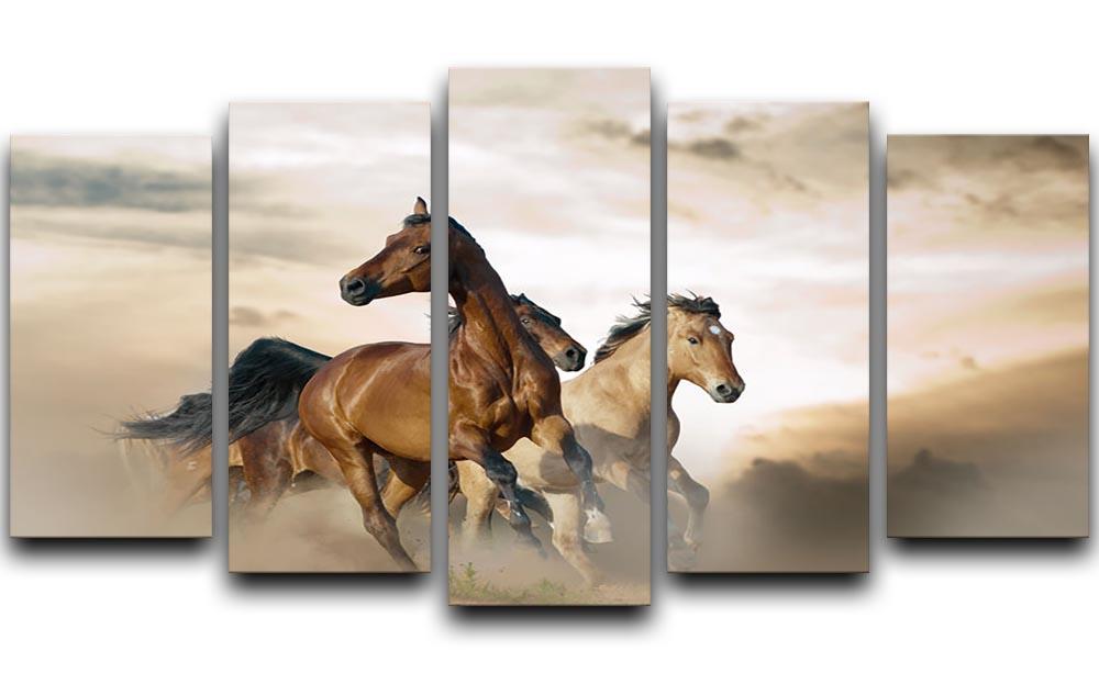 Beautiful horses of different breeds 5 Split Panel Canvas - Canvas Art Rocks - 1