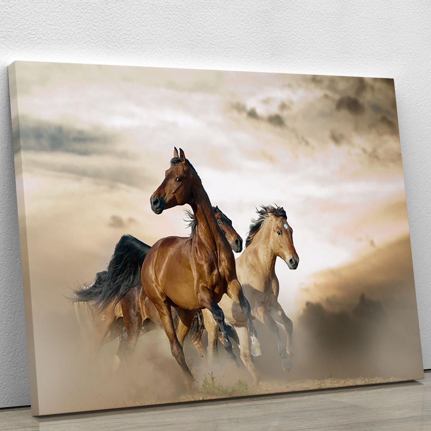 Beautiful horses of different breeds Canvas Print or Poster