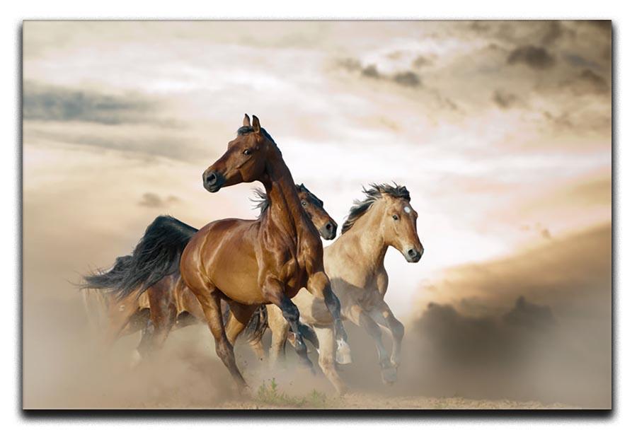 Beautiful horses of different breeds Canvas Print or Poster - Canvas Art Rocks - 1