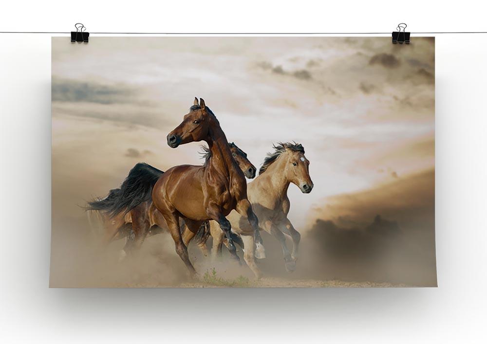 Beautiful horses of different breeds Canvas Print or Poster - Canvas Art Rocks - 2