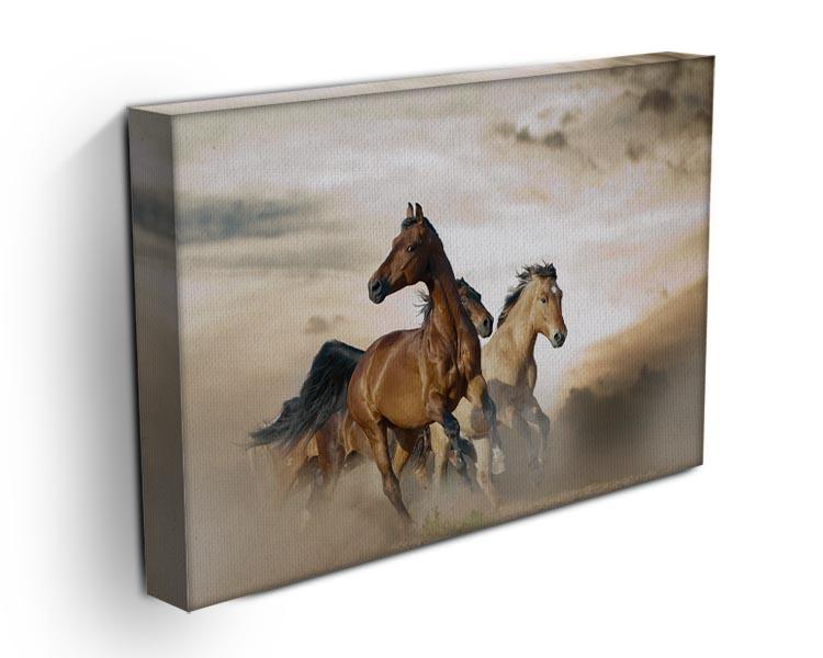 Beautiful horses of different breeds Canvas Print or Poster - Canvas Art Rocks - 3