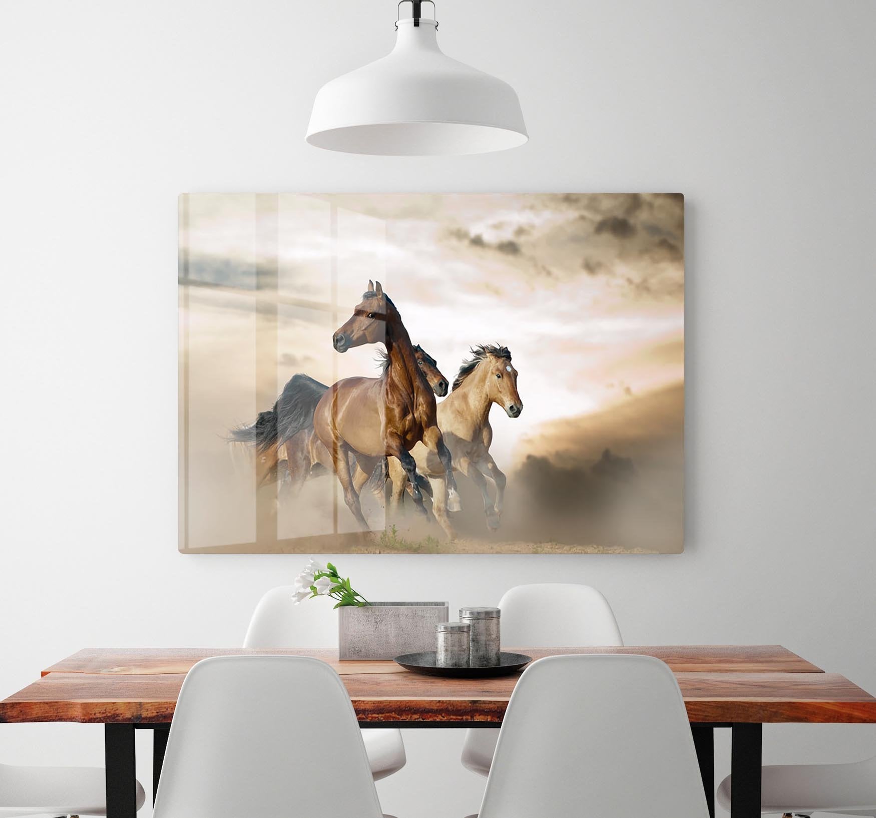 Beautiful horses of different breeds HD Metal Print - Canvas Art Rocks - 2