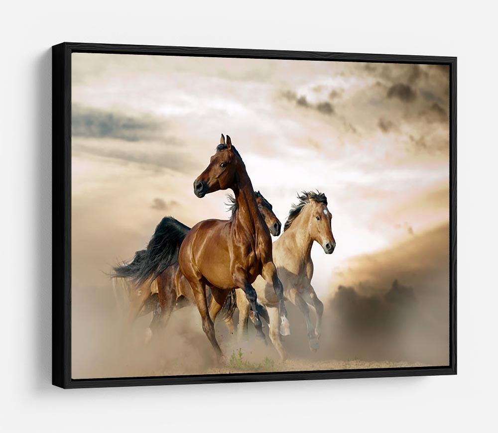 Beautiful horses of different breeds HD Metal Print - Canvas Art Rocks - 6
