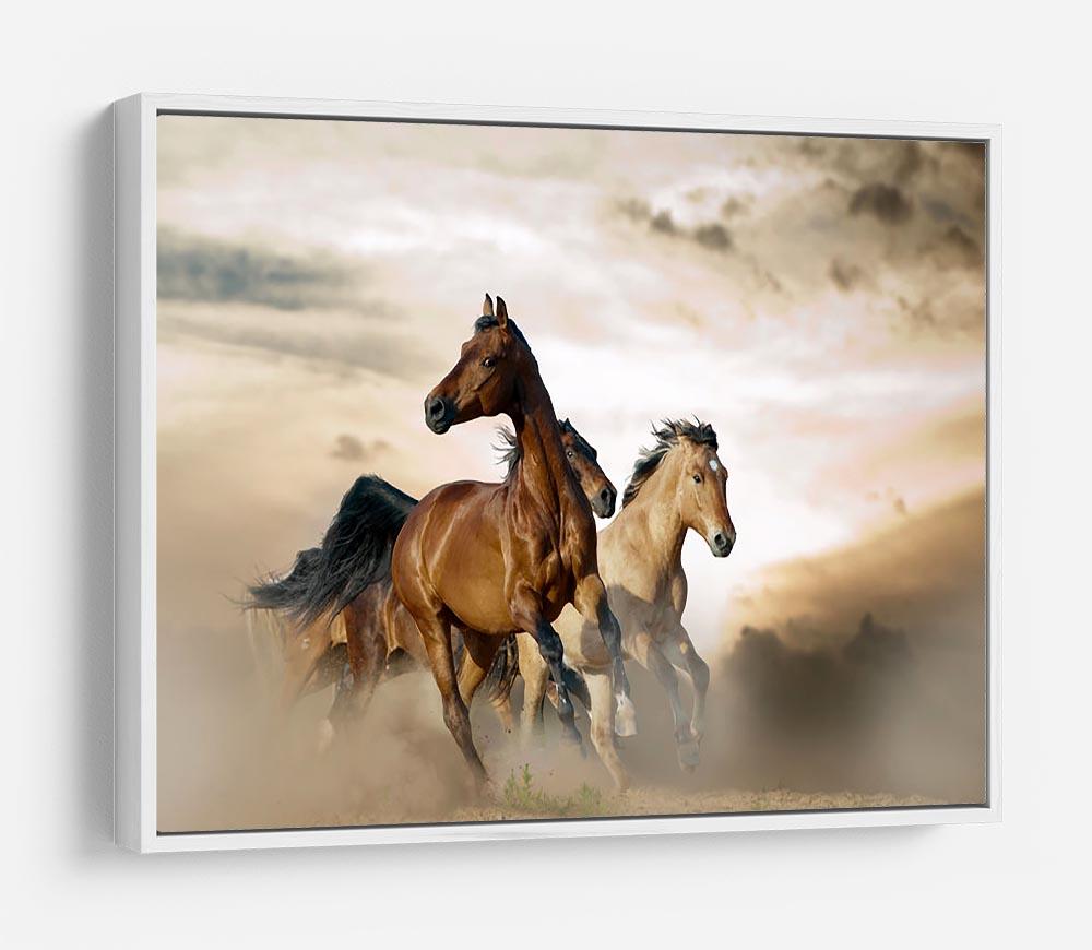 Beautiful horses of different breeds HD Metal Print - Canvas Art Rocks - 7