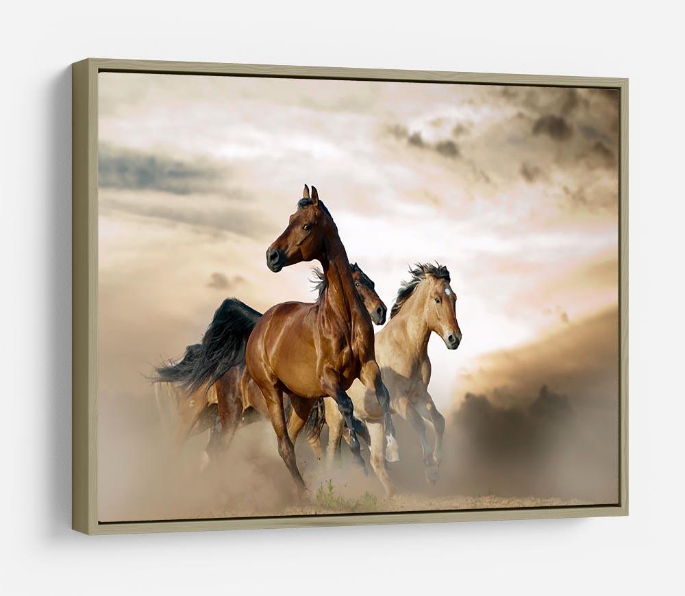 Beautiful horses of different breeds HD Metal Print - Canvas Art Rocks - 8