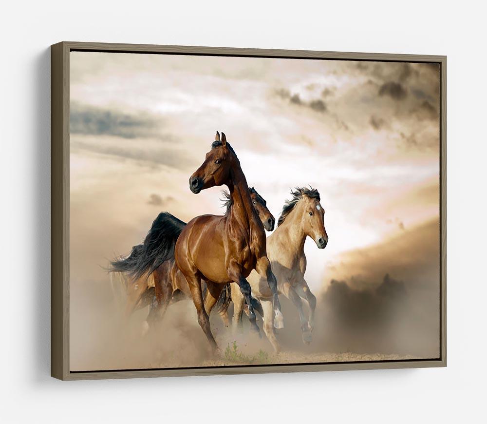 Beautiful horses of different breeds HD Metal Print - Canvas Art Rocks - 10