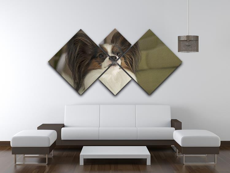Beautiful male dog Papillon 4 Square Multi Panel Canvas - Canvas Art Rocks - 3