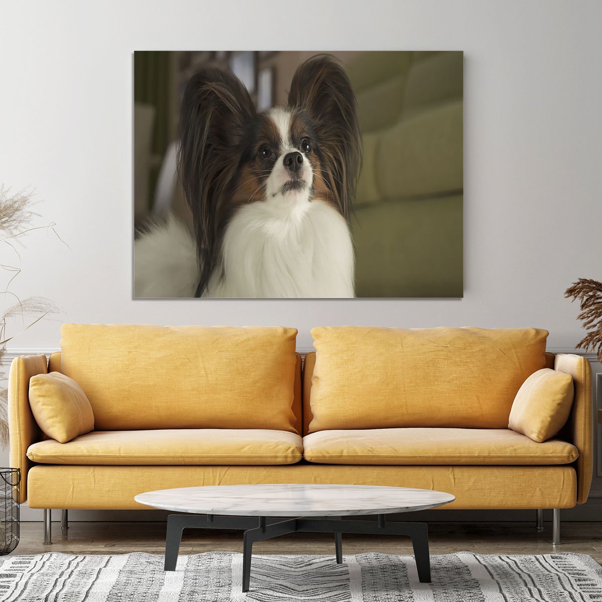 Beautiful male dog Papillon Canvas Print or Poster