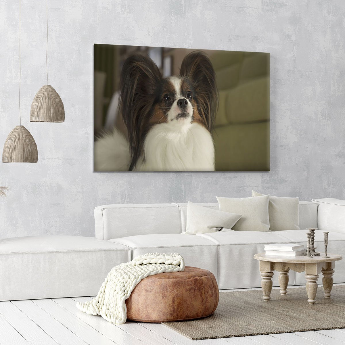 Beautiful male dog Papillon Canvas Print or Poster