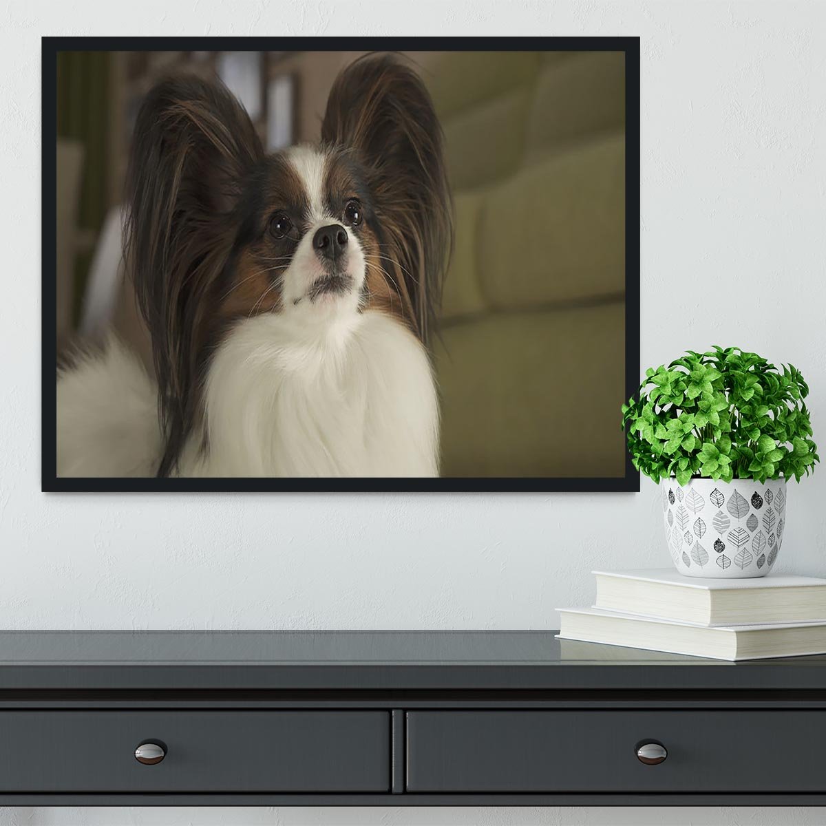 Beautiful male dog Papillon Framed Print - Canvas Art Rocks - 2