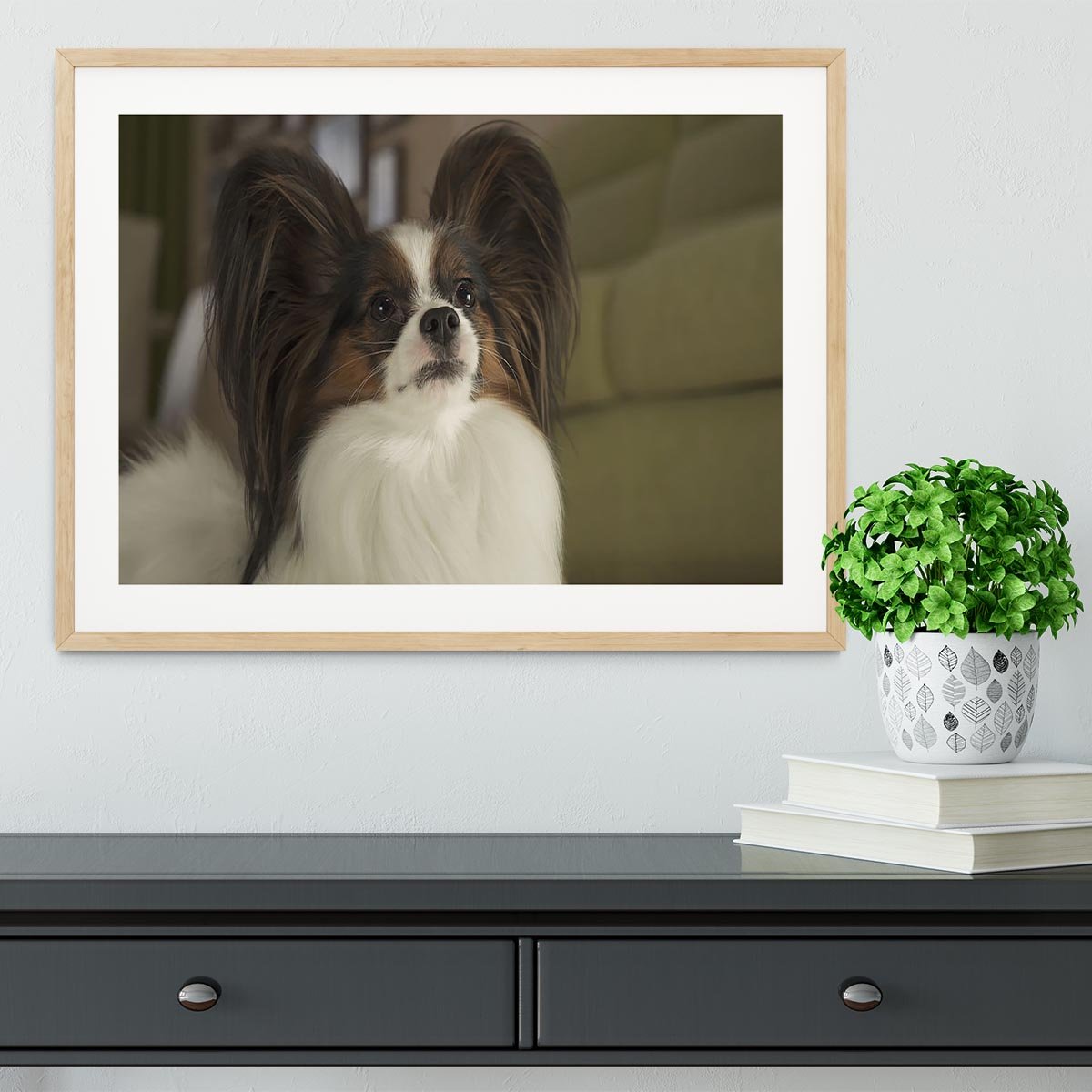 Beautiful male dog Papillon Framed Print - Canvas Art Rocks - 3