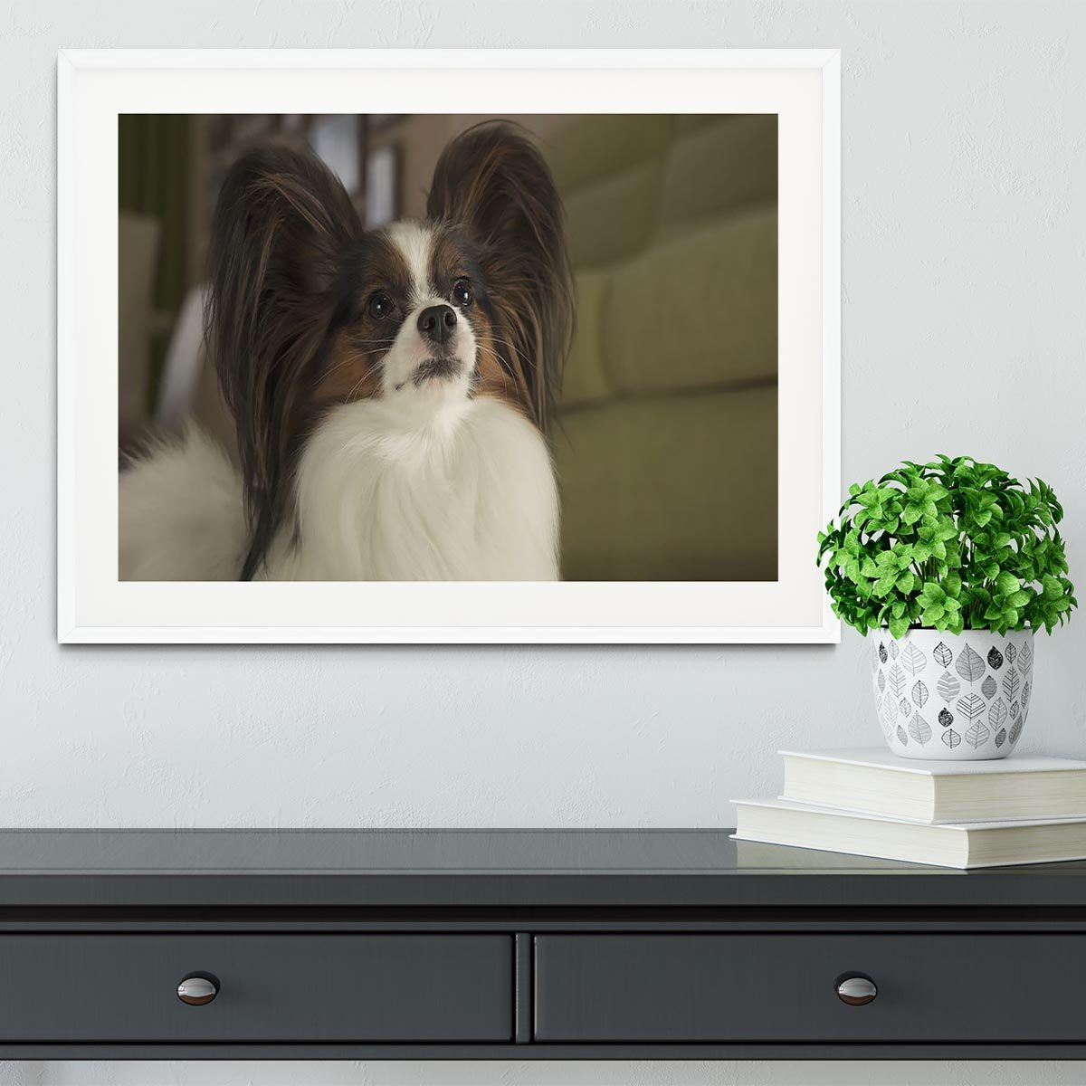 Beautiful male dog Papillon Framed Print - Canvas Art Rocks - 5