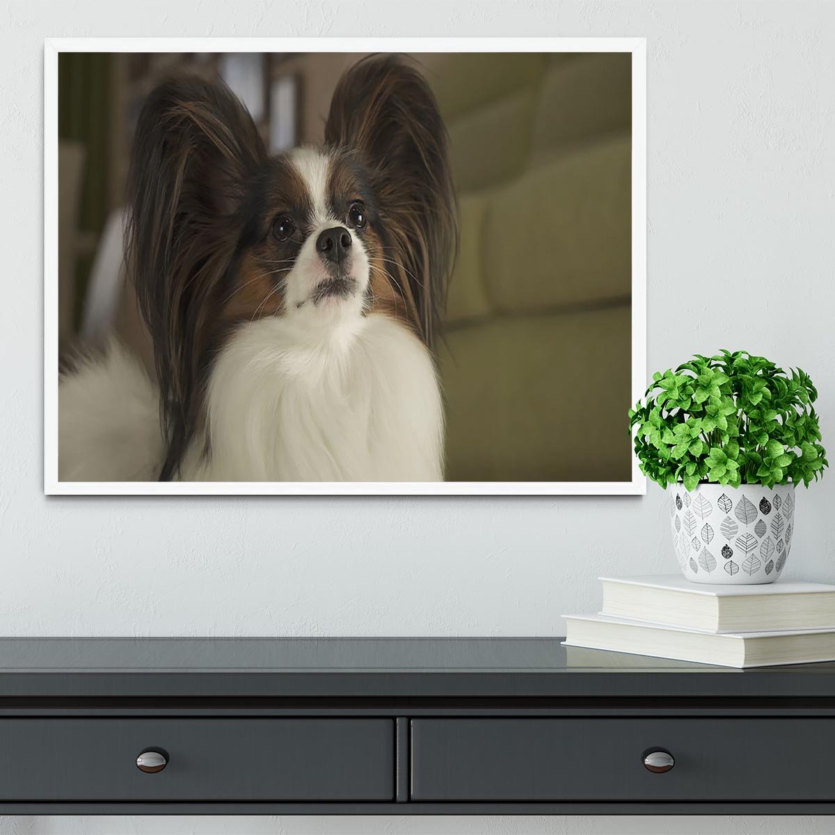 Beautiful male dog Papillon Framed Print - Canvas Art Rocks -6