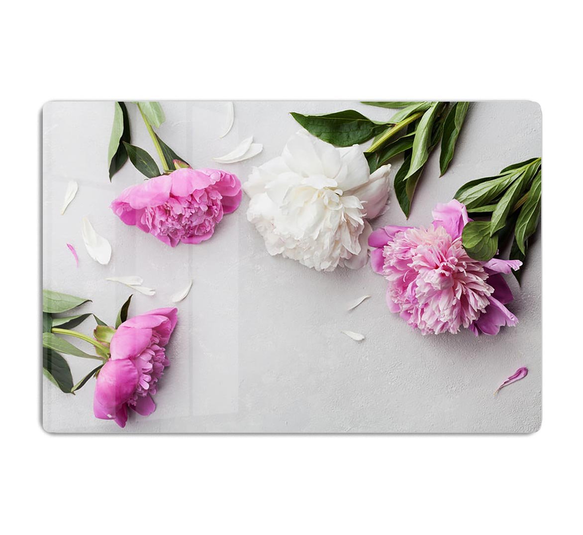 Beautiful pink and white peony flowers HD Metal Print