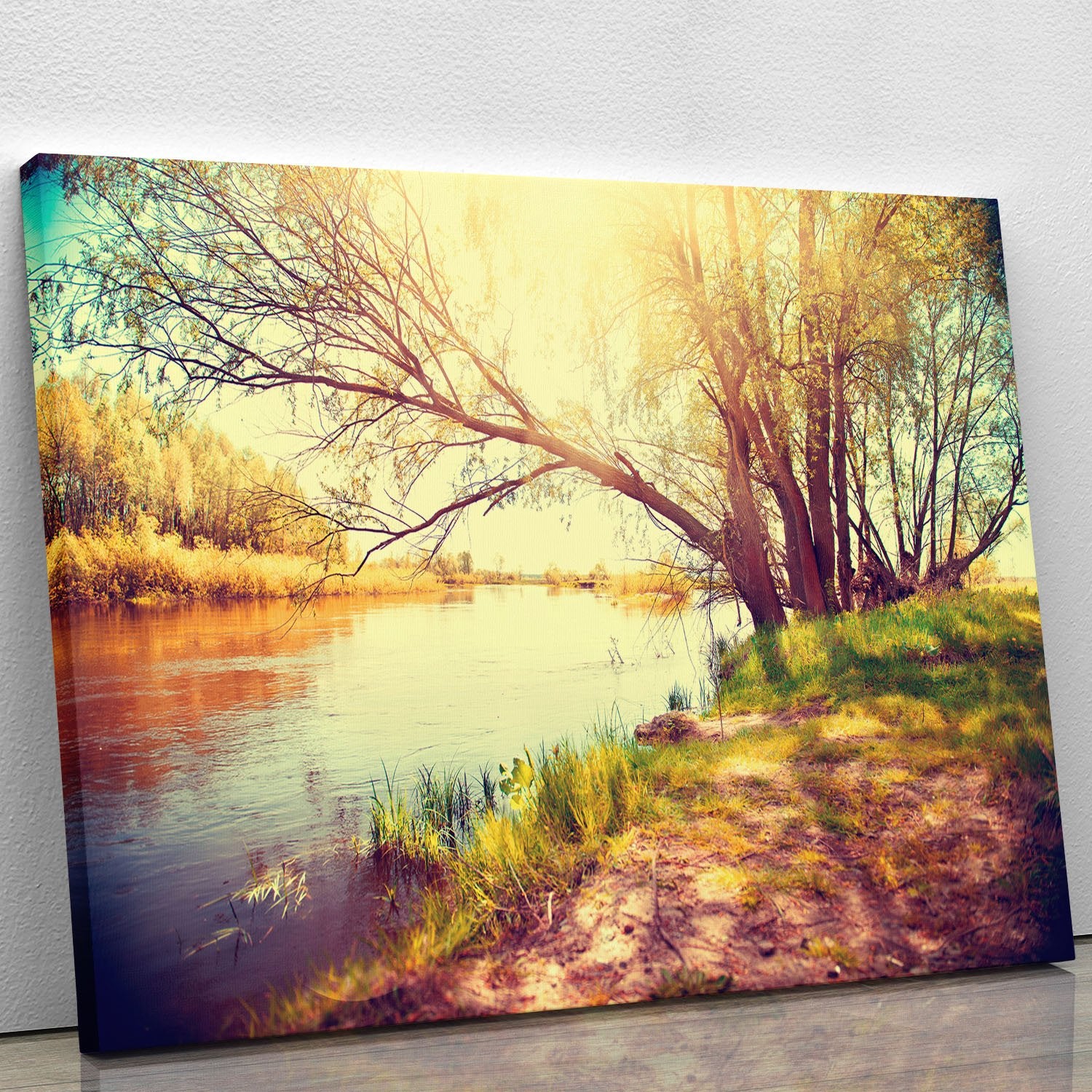 Beautiful scene Canvas Print or Poster