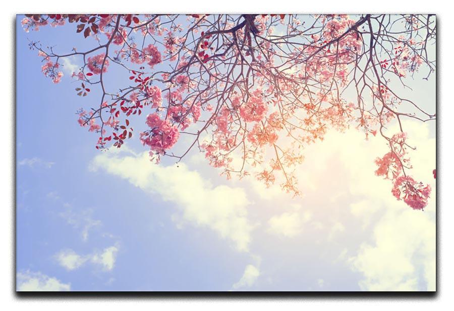 Beautiful tree pink flower in spring Canvas Print or Poster  - Canvas Art Rocks - 1
