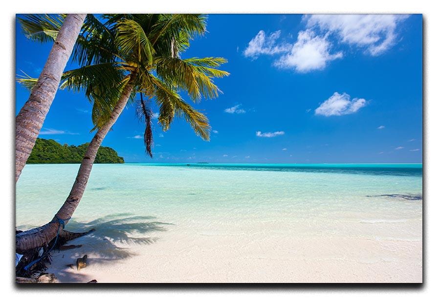 Beautiful tropical beach with palm trees Canvas Print or Poster - Canvas Art Rocks - 1