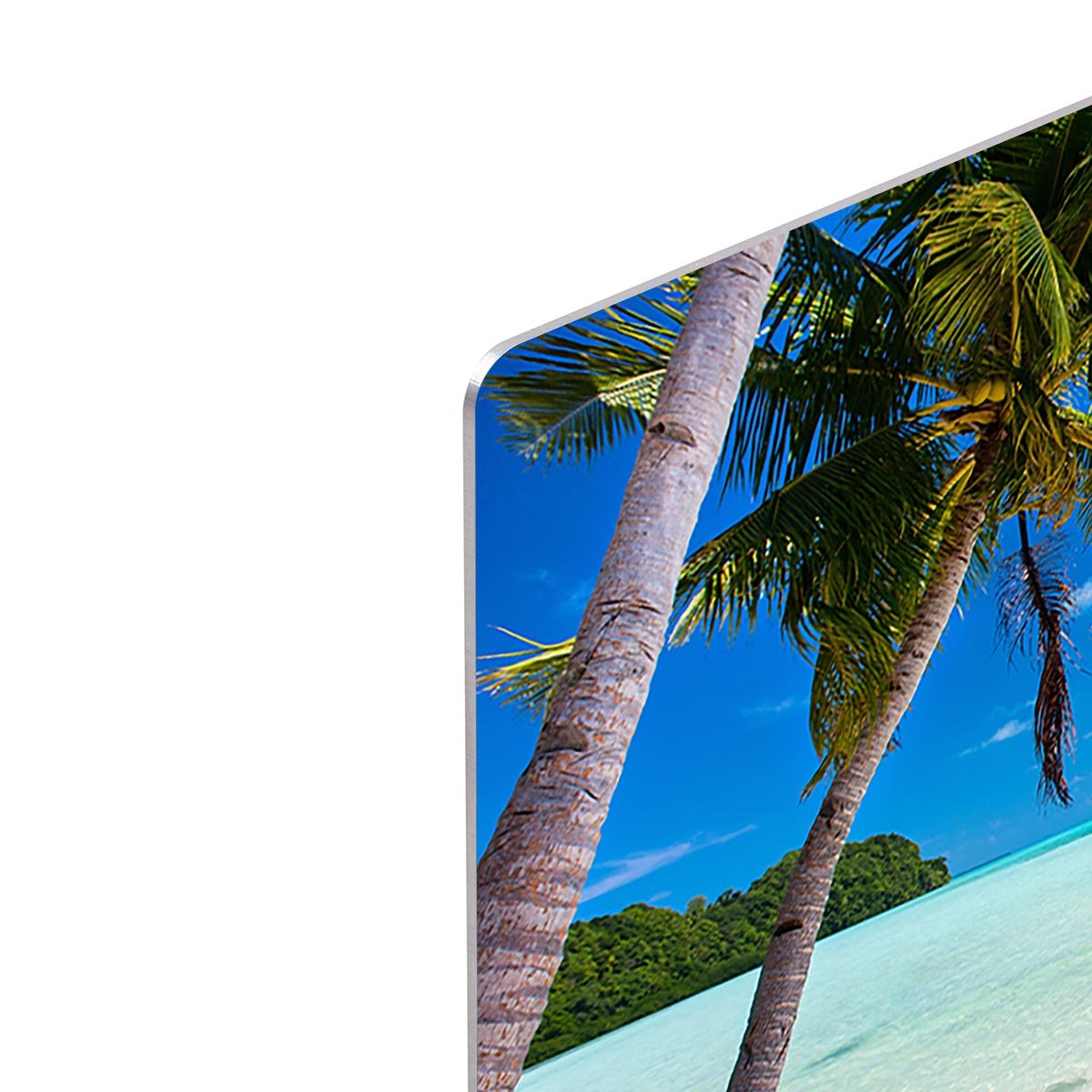 Beautiful tropical beach with palm trees HD Metal Print - Canvas Art Rocks - 4