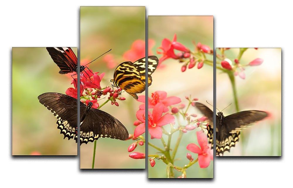 Beautiful tropical butterflies on a red flowers 4 Split Panel Canvas - Canvas Art Rocks - 1