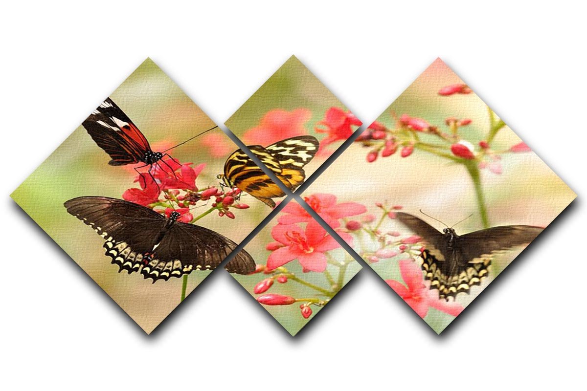 Beautiful tropical butterflies on a red flowers 4 Square Multi Panel Canvas - Canvas Art Rocks - 1