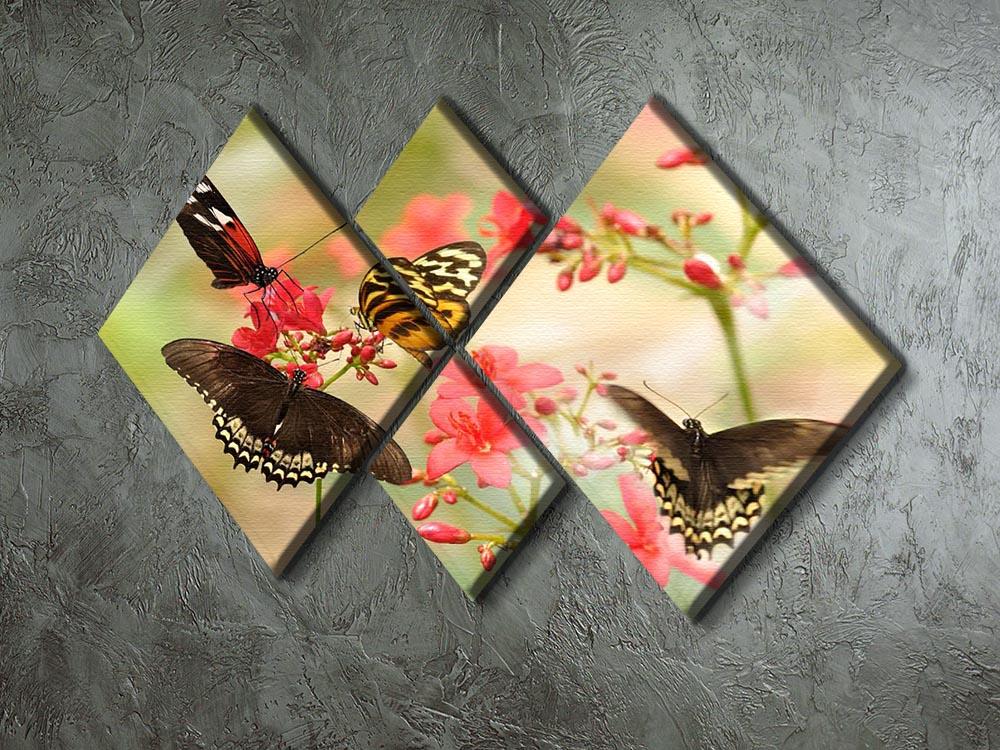 Beautiful tropical butterflies on a red flowers 4 Square Multi Panel Canvas - Canvas Art Rocks - 2