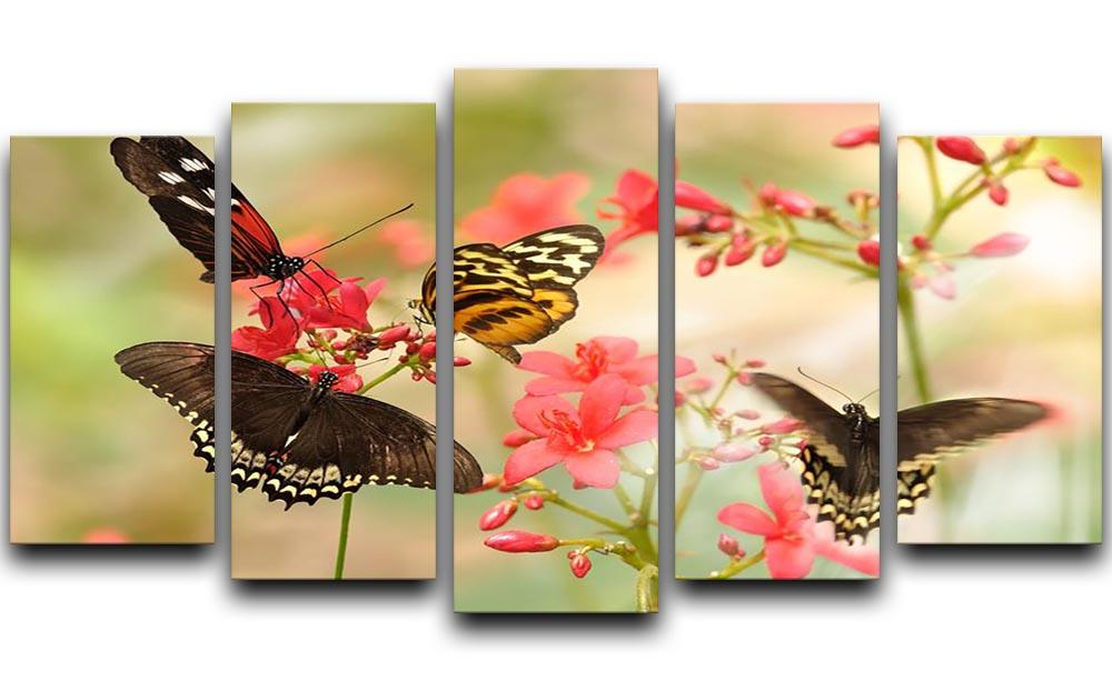 Beautiful tropical butterflies on a red flowers 5 Split Panel Canvas - Canvas Art Rocks - 1