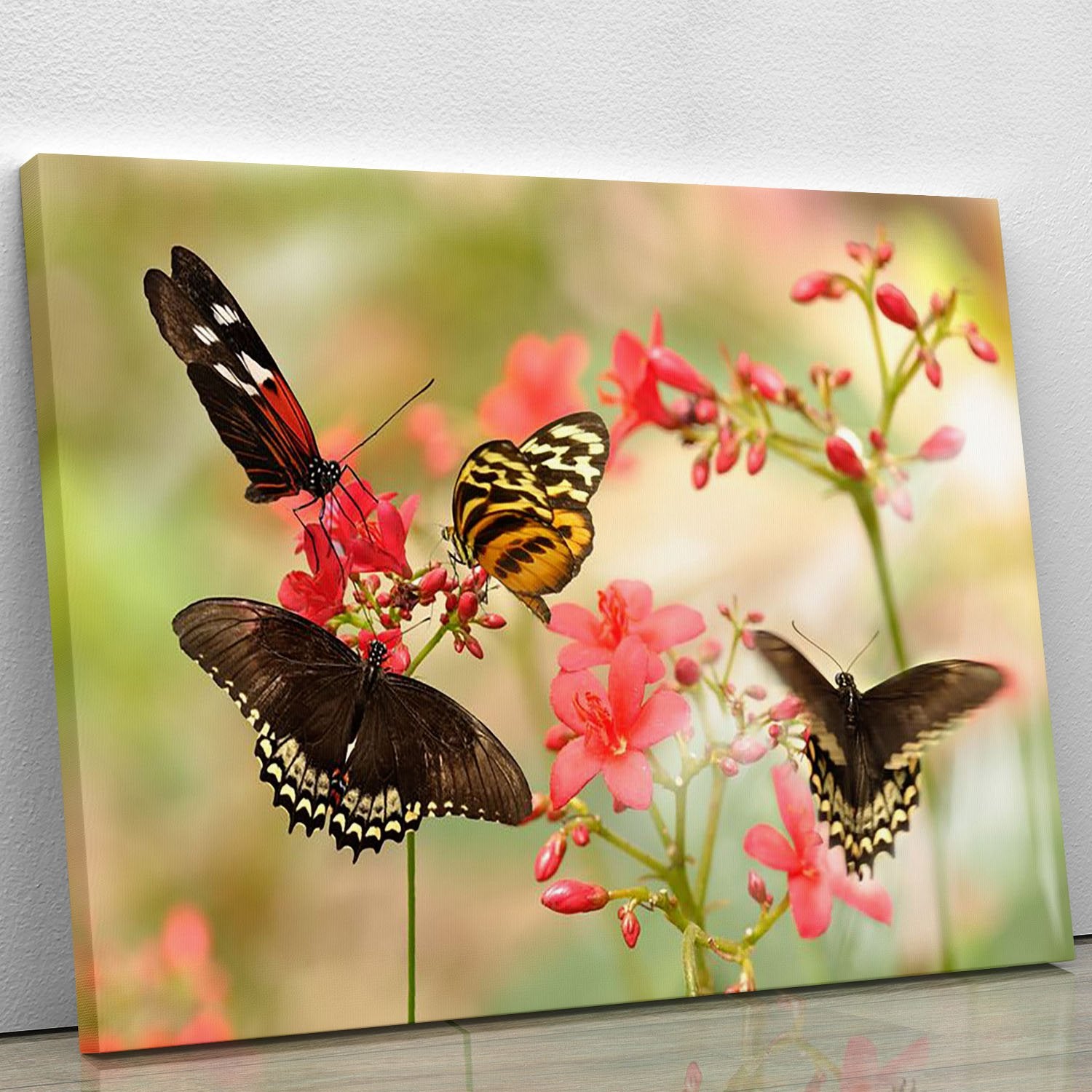 Beautiful tropical butterflies on a red flowers Canvas Print or Poster