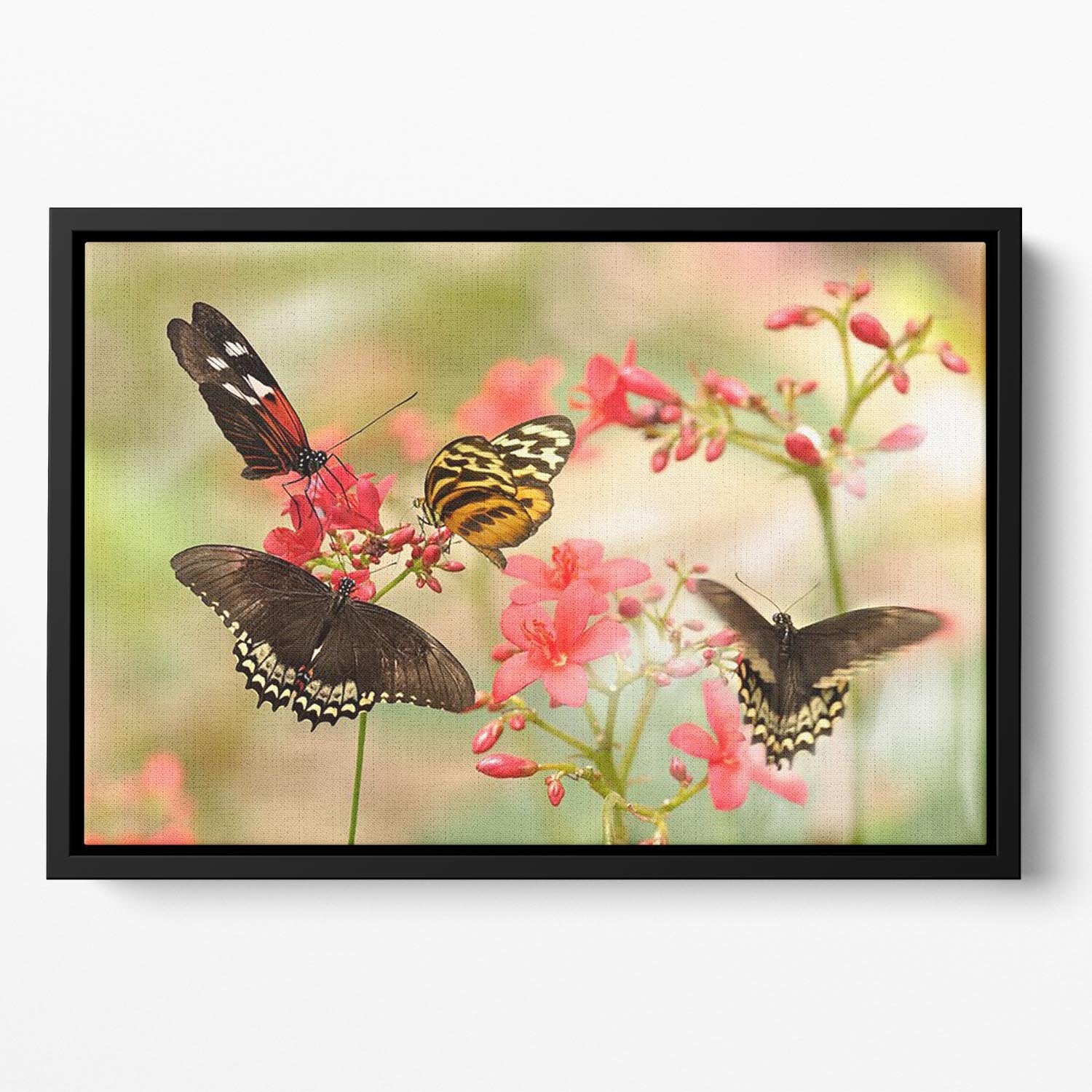 Beautiful tropical butterflies on a red flowers Floating Framed Canvas - Canvas Art Rocks - 2