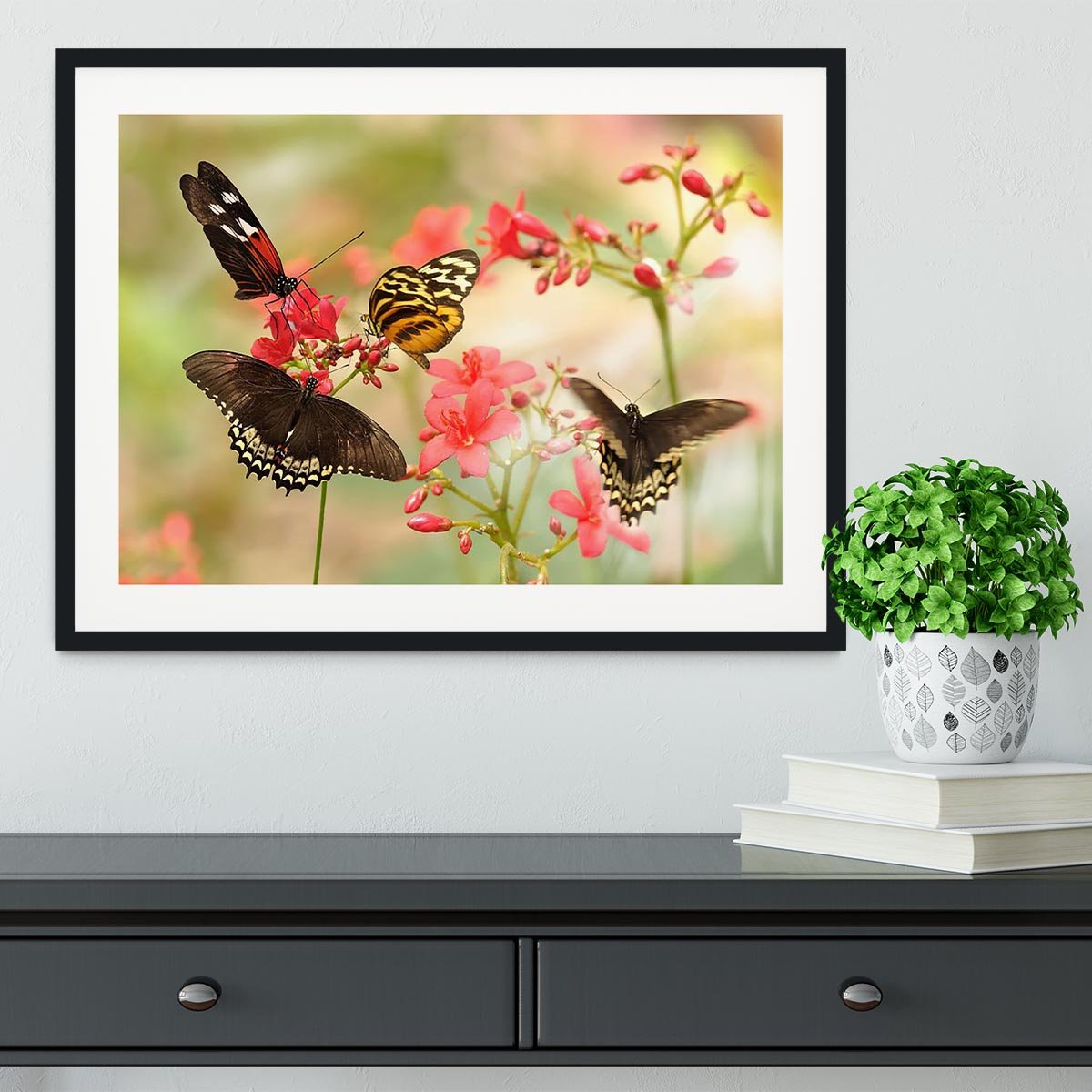 Beautiful tropical butterflies on a red flowers Framed Print - Canvas Art Rocks - 1