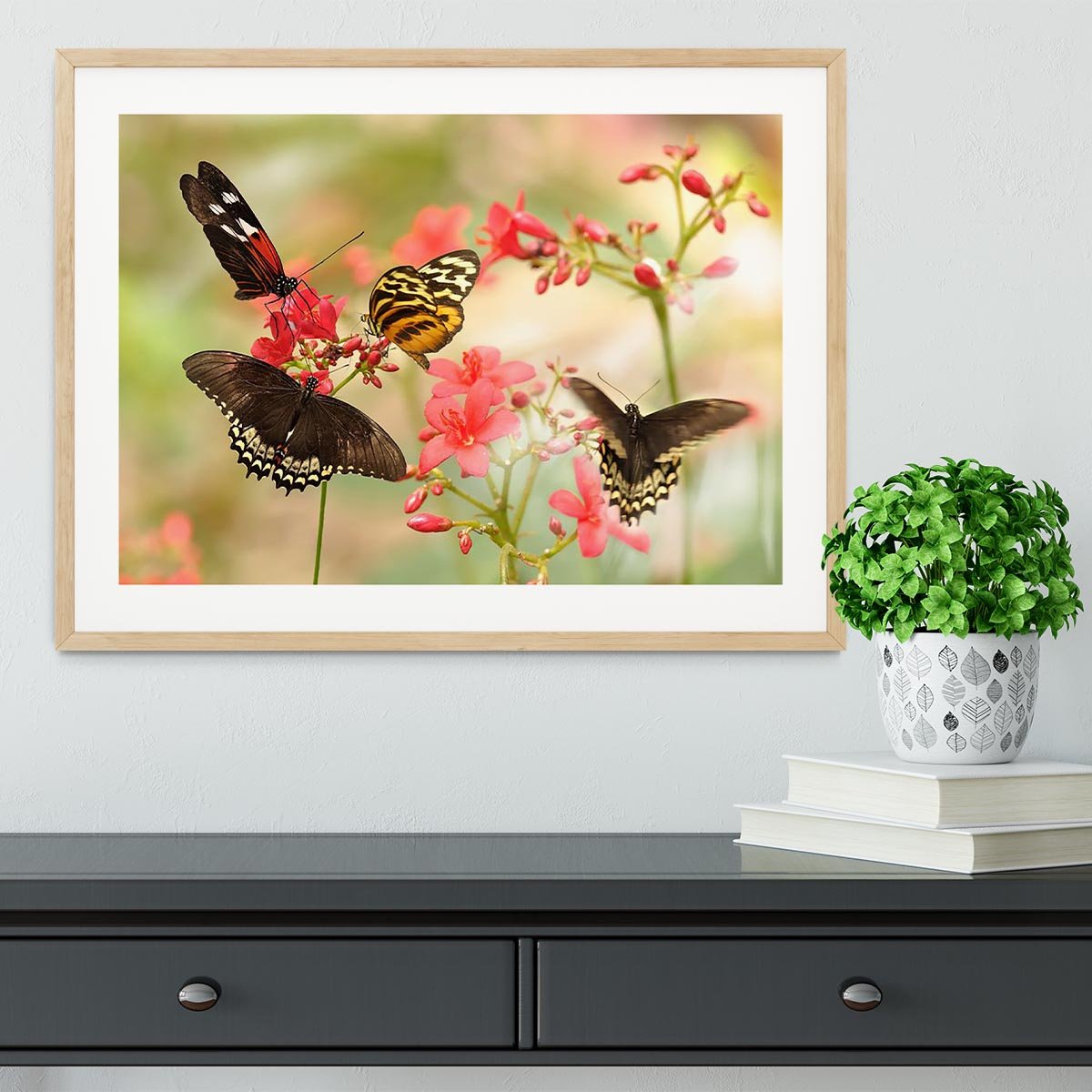 Beautiful tropical butterflies on a red flowers Framed Print - Canvas Art Rocks - 3