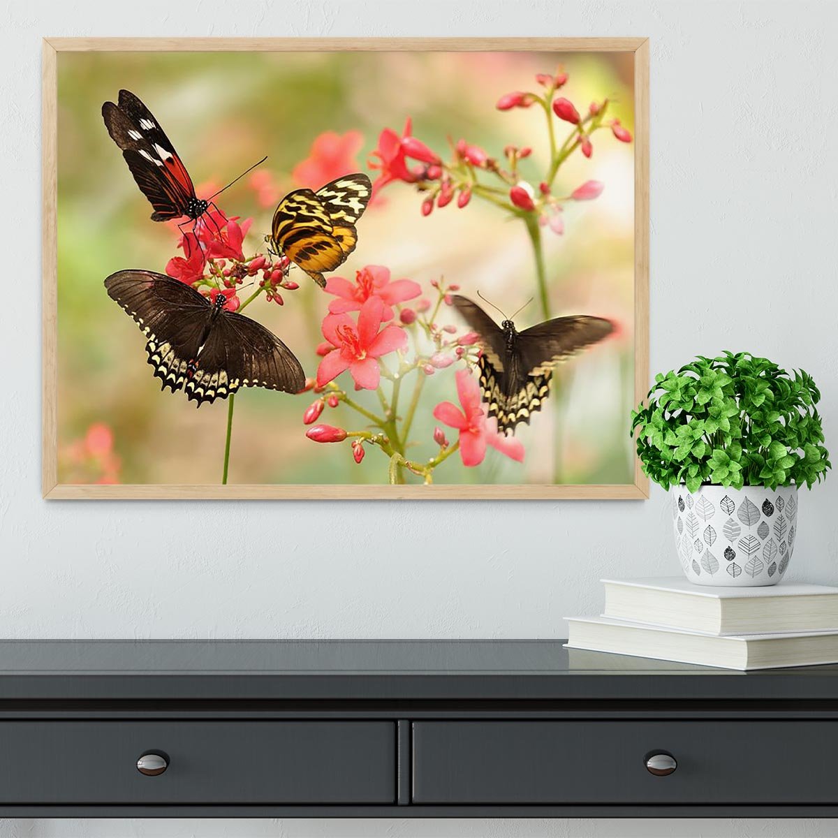 Beautiful tropical butterflies on a red flowers Framed Print - Canvas Art Rocks - 4